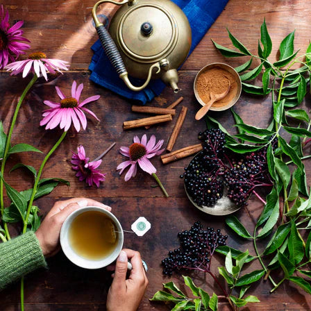 Can Grounding Support Your Immune System? Here’s What We Know