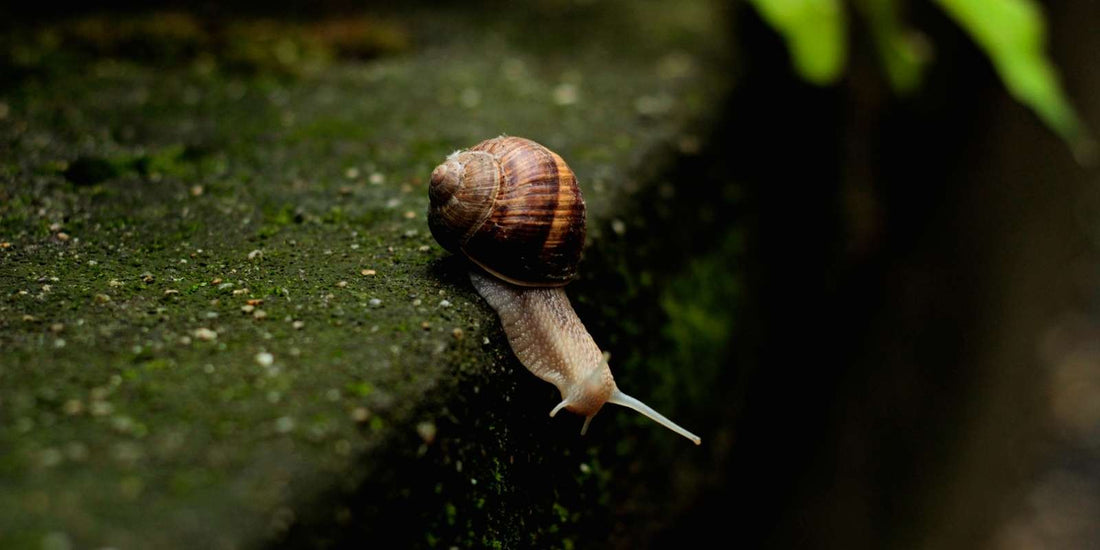 slowing down