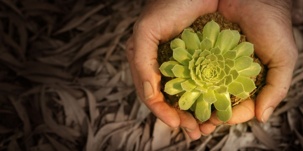 Why Your Nervous System Needs Nurturing During Perimenopause