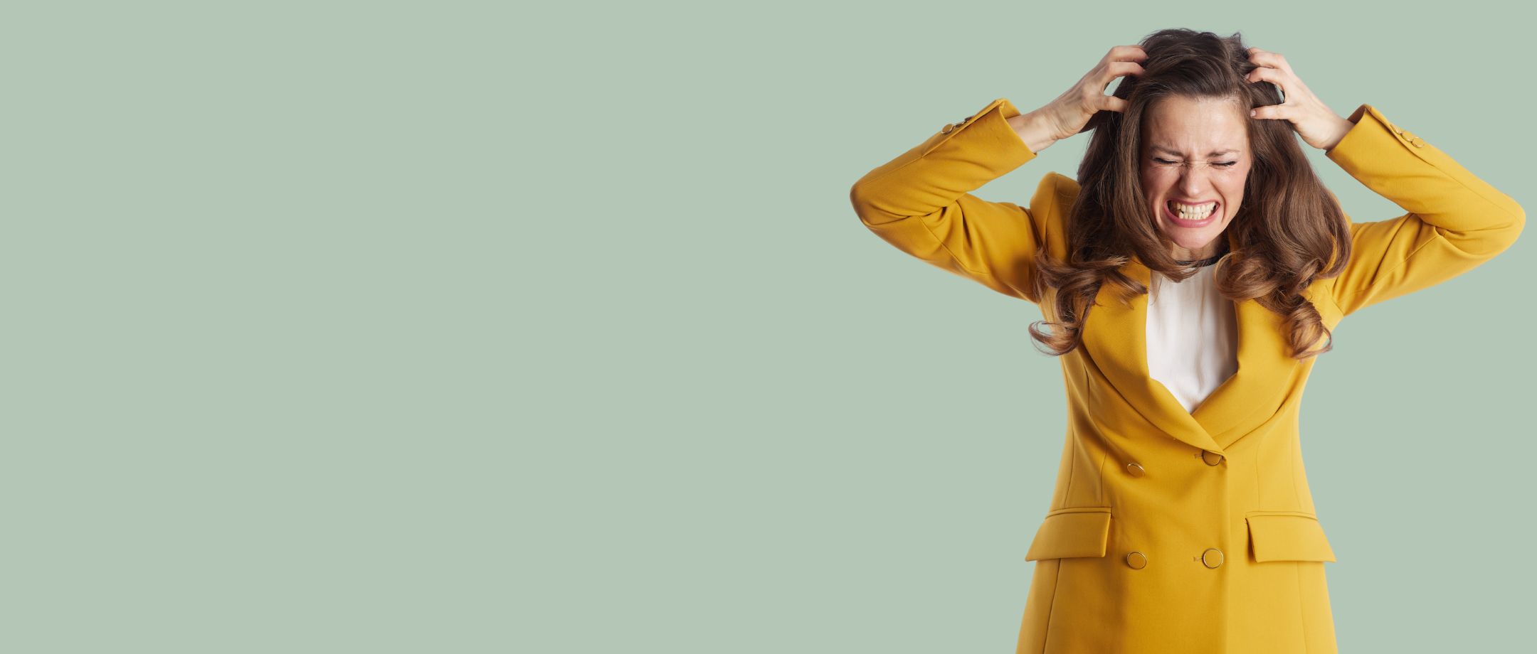 The nervous system’s role in menopause symptoms and stress sensitivity